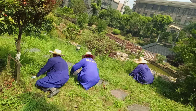 1560236159198771.jpg 綠化拔草.jpg